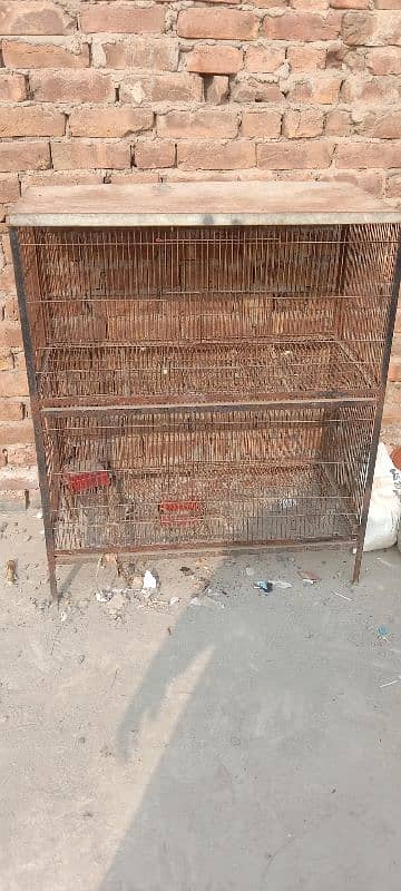 cage for sell 1