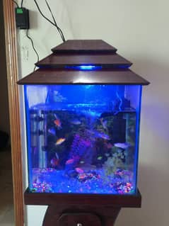 Fish Aquariums / Aquariums For Sale / fish tank / aquarium with stand