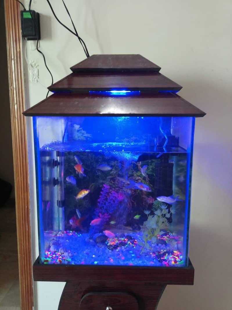 Fish Aquariums / Aquariums For Sale / fish tank / aquarium with stand 0