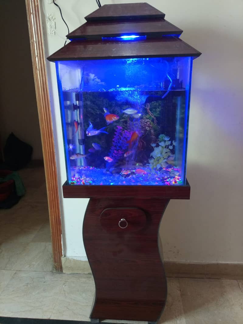 Fish Aquariums / Aquariums For Sale / fish tank / aquarium with stand 1