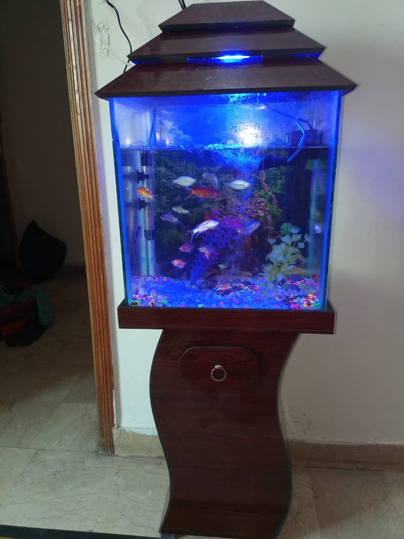 Fish Aquariums / Aquariums For Sale / fish tank / aquarium with stand 6