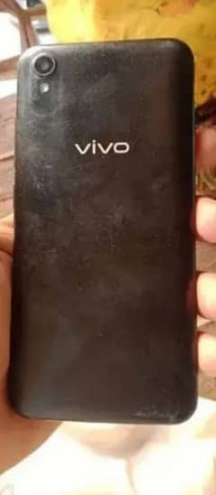 vivo