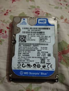 WD Harddisk 500GB