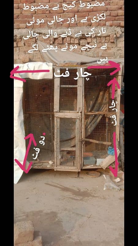 parrots cage for sale 2