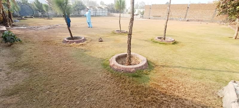 farmhouse in bani gala 18