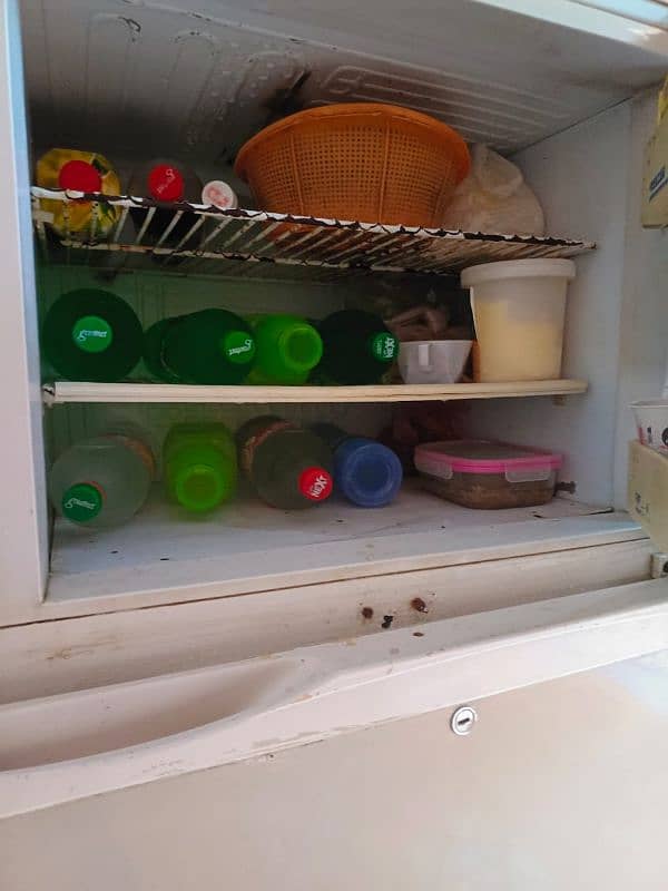 pel refrigerator 0