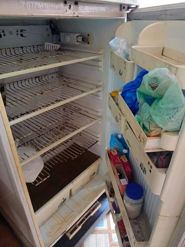 pel refrigerator 1