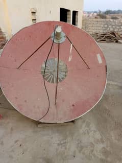 dish