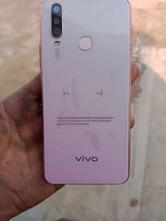 vivo