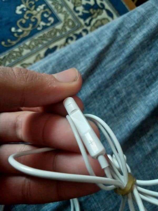 orignal iphone charging cable and handsfree 2