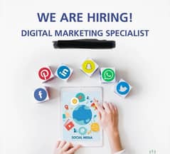 Digital Marketing Expert