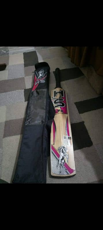 HS HARD BALL BAT 2