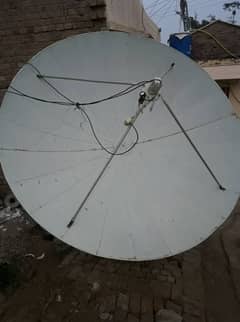 Dish