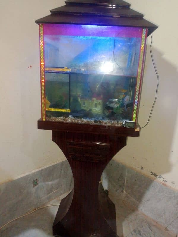 fish aquarium 0