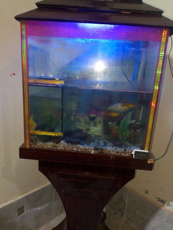 fish aquarium 3