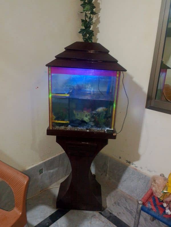 fish aquarium 4