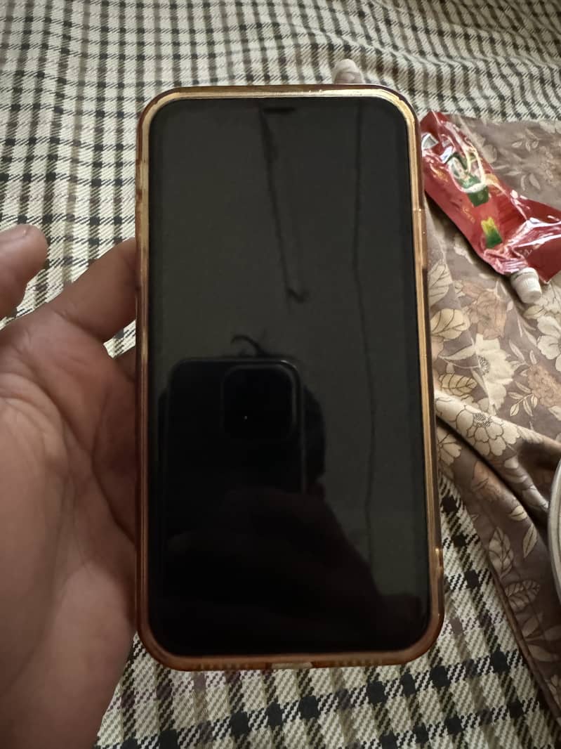 iphone 11 waterpack 10