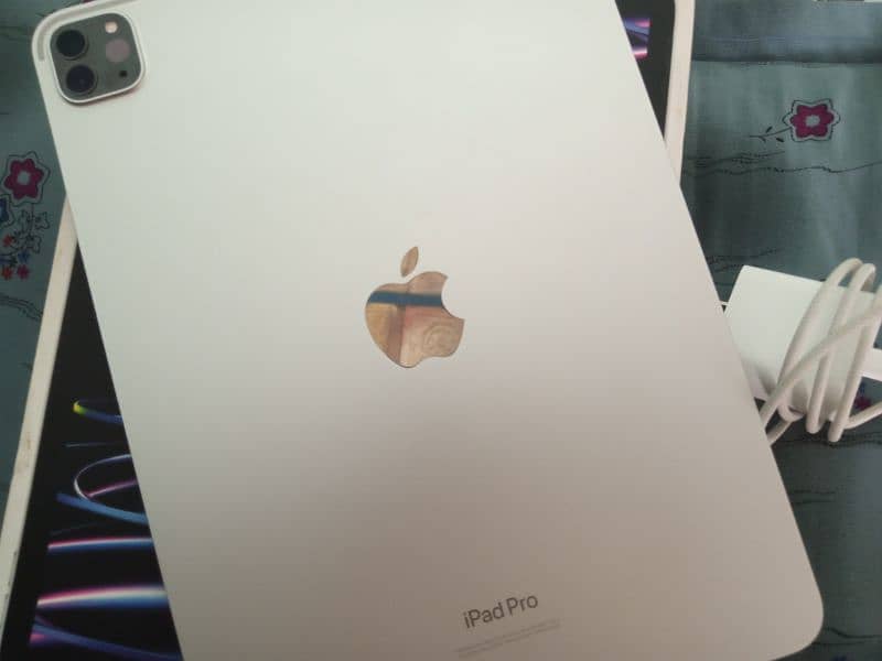 iPad Pro M2 11-inch ( 4th Gene ) 256 GB 1