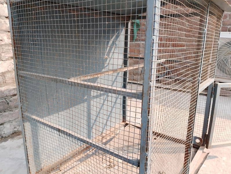 Hen and Parrot Cage for sale 0