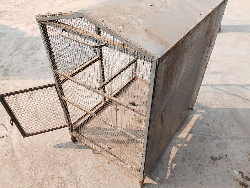 Hen and Parrot Cage for sale 1