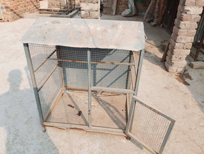 Hen and Parrot Cage for sale 2