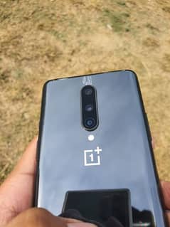 oneplus 8 12/256.10/10 phone