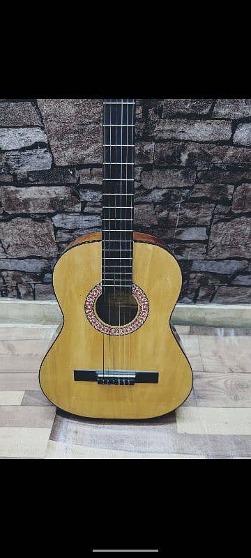 Nylon Strings USA Guitar Eleca Brand 3