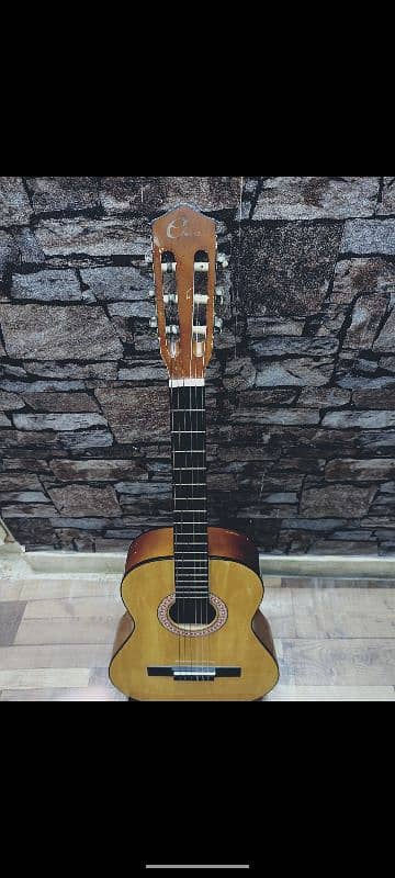 Nylon Strings USA Guitar Eleca Brand 5