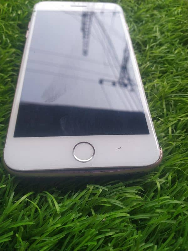 iphone 7 plus pta Approved 32 gb uegent selling full oky 2