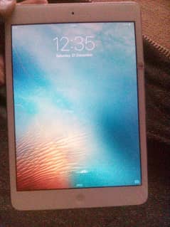 Apple iPad mini