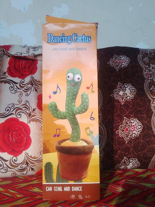 Dancing cactus 0