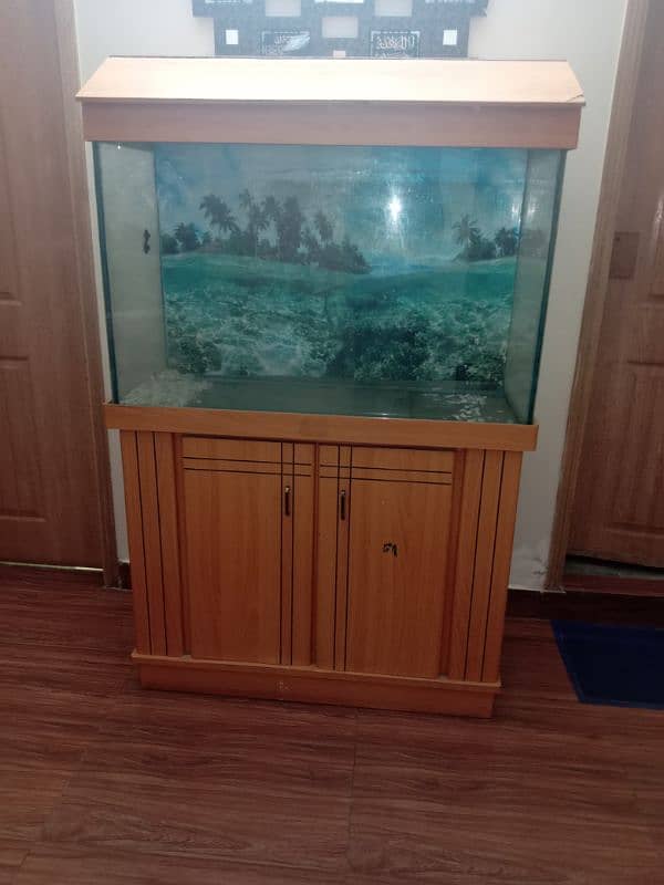 FISH AQUARIUM 0