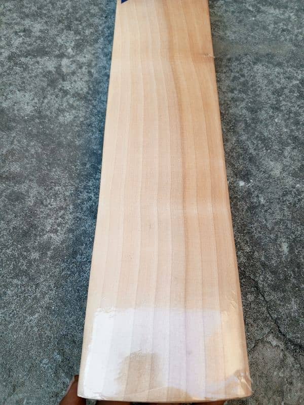 English Willow Cricket Bat 2