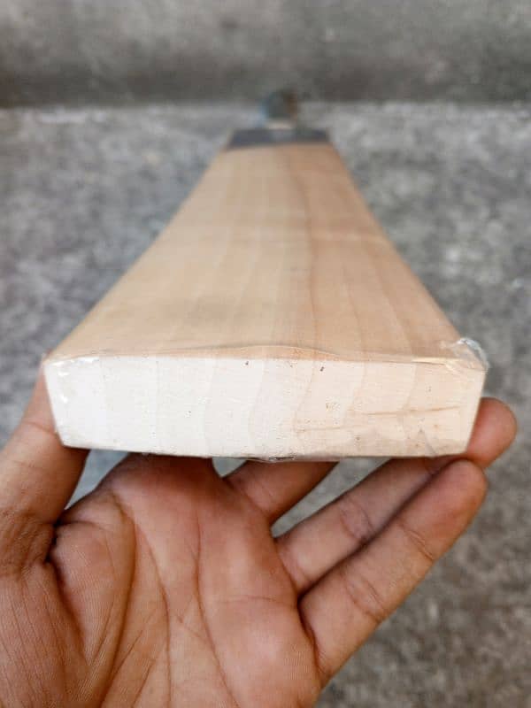 English Willow Cricket Bat 6