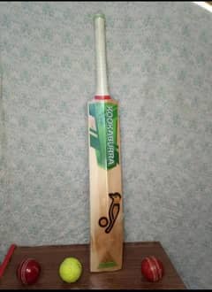 hard ball bat