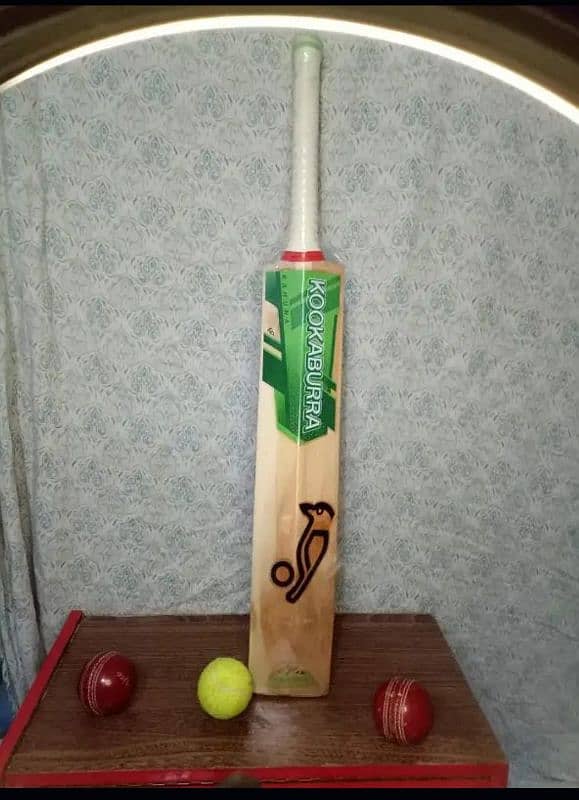 hard ball bat 3