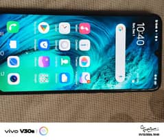 vivo