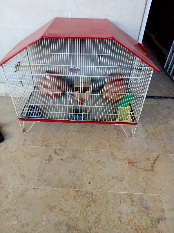 new cage in wholesale rate in karachi !!! 0