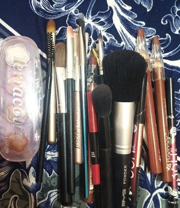 pack of 10 brushes+lip liner+fresh new blush kit 0