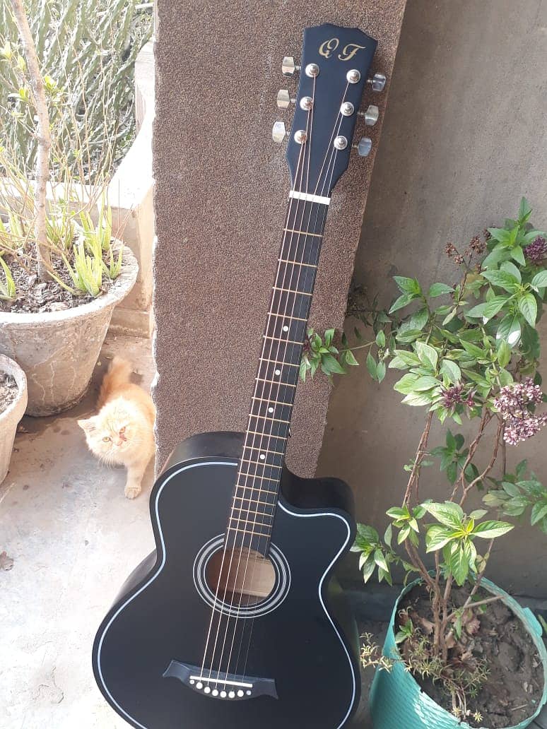 Acoustic Guitar With All Accessories 1