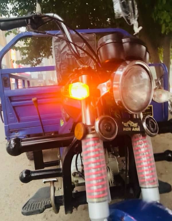 NEW ASIA 110cc loder rikhsha 5