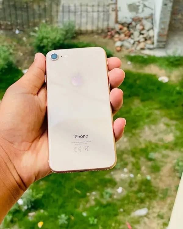 Iphone 8 (Exchange Possible) 0