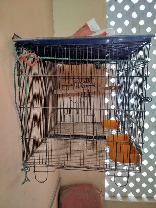 Birds Cage 0