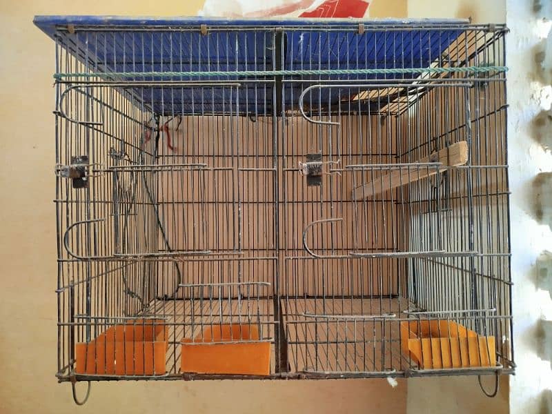 Birds Cage 1