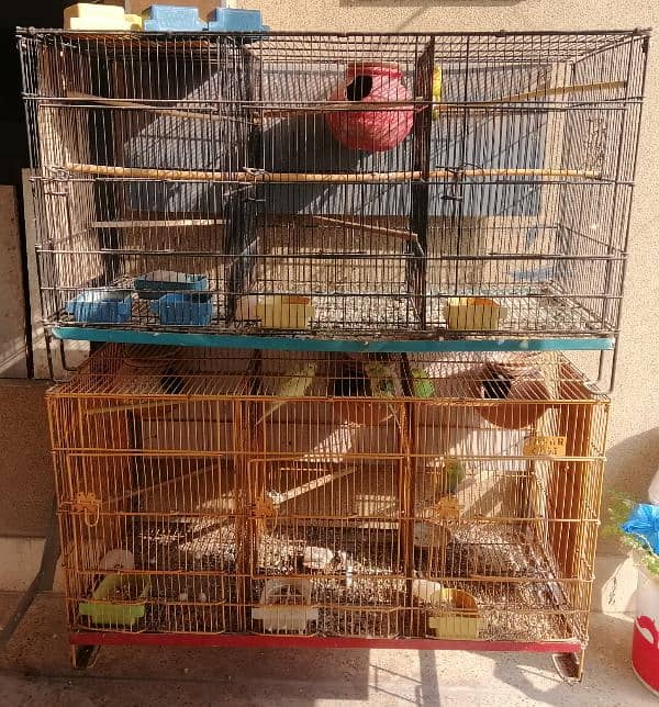 Birds Cage 0