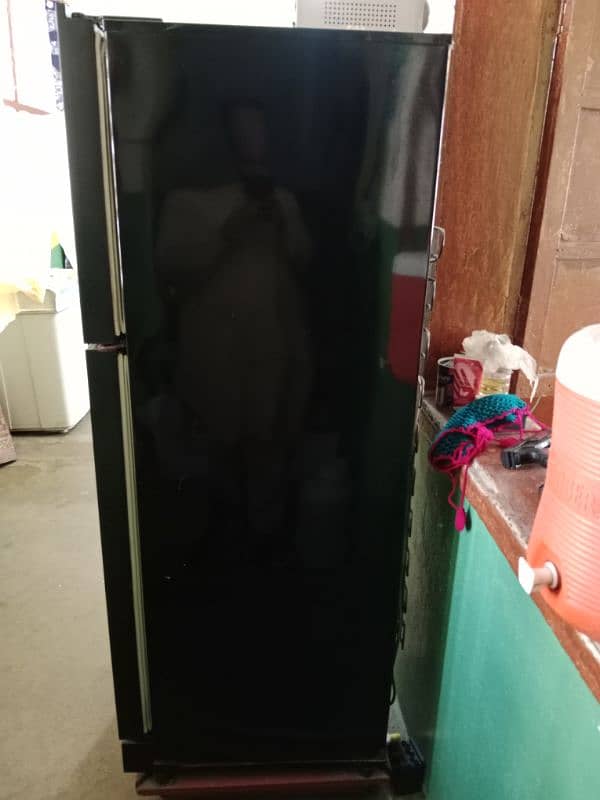 Pel Fridge Glass Door 2