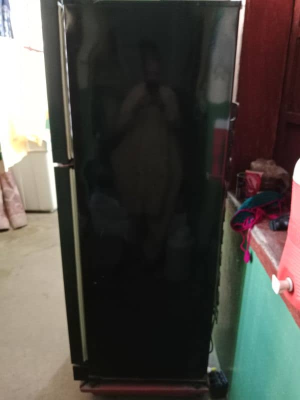 Pel Fridge Glass Door 10