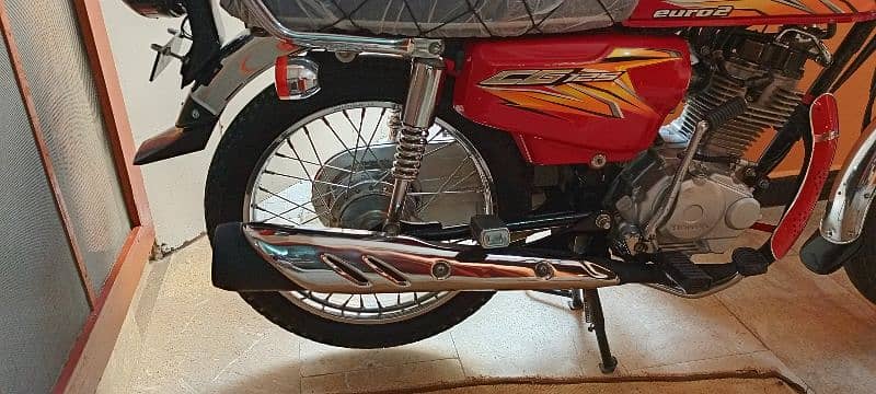 Honda 125 All Punjab numbr 8