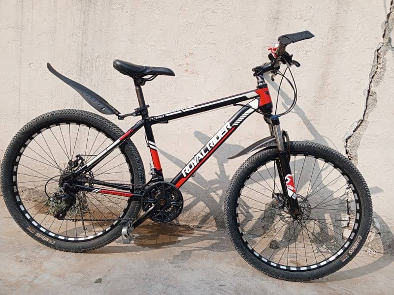 Royal Rider mountain bicycle for sale 7