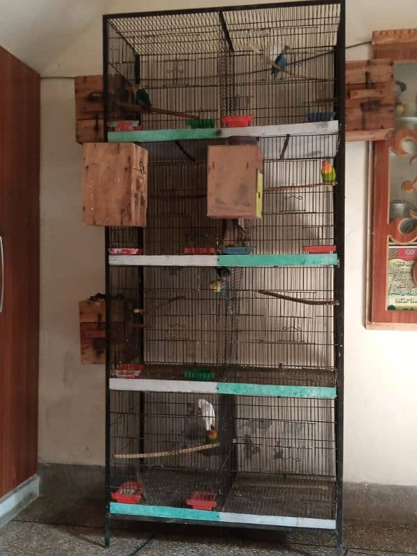 Love Birds parrots  cage 0